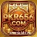 Pkr656 Game