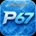 PK67 Game