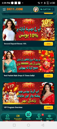 DK11 Game